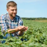 Temperature Monitoring Systems for Restaurants and Aged Care