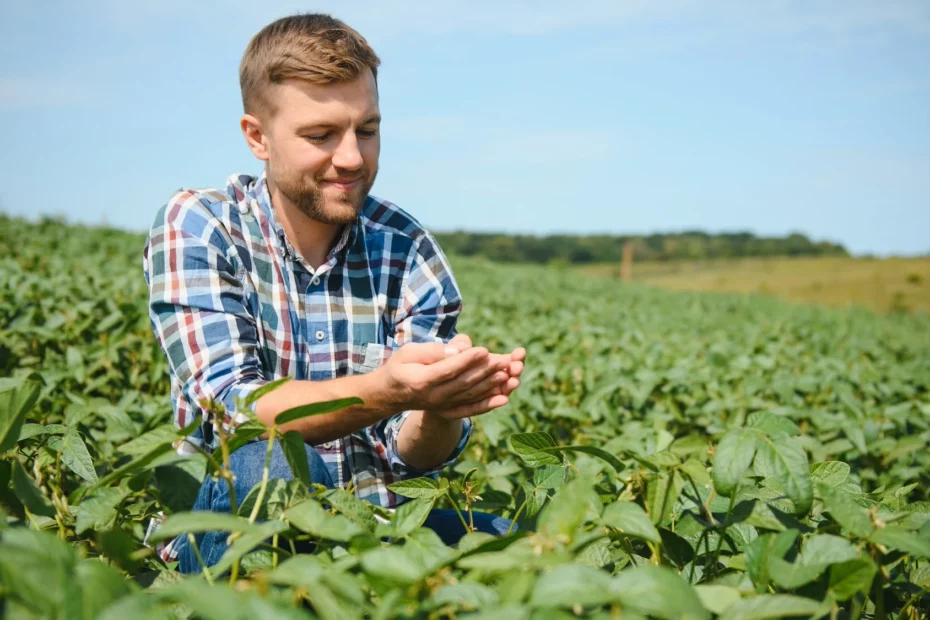 Temperature Monitoring Systems for Restaurants and Aged Care