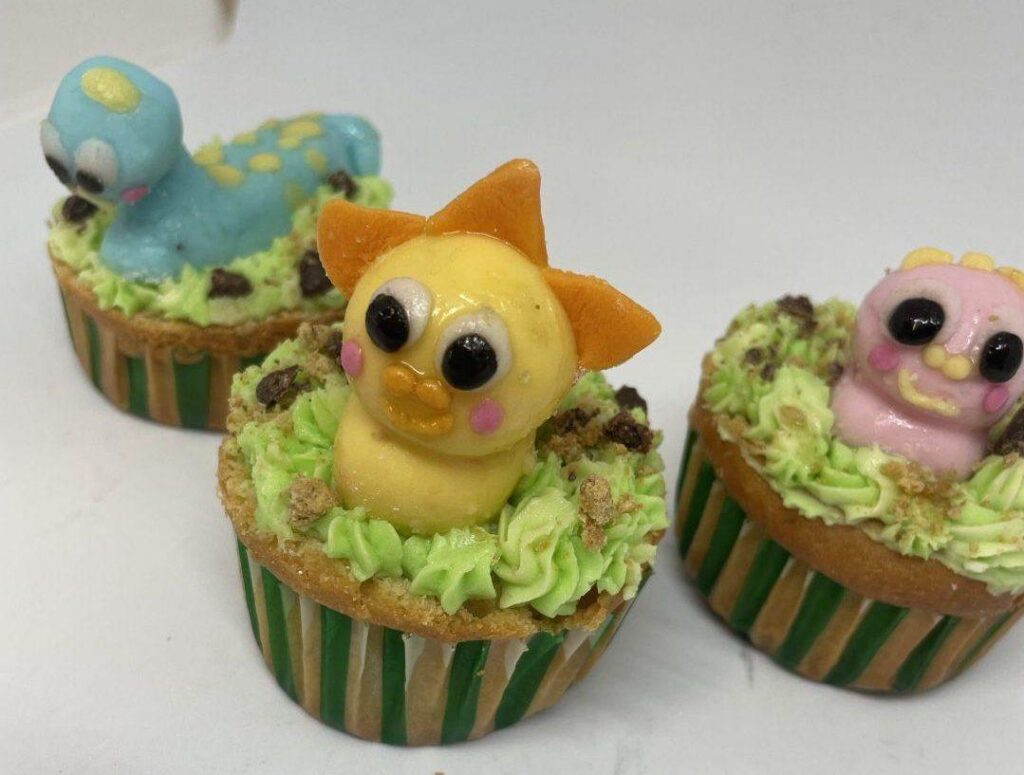 Cupcake Delivery